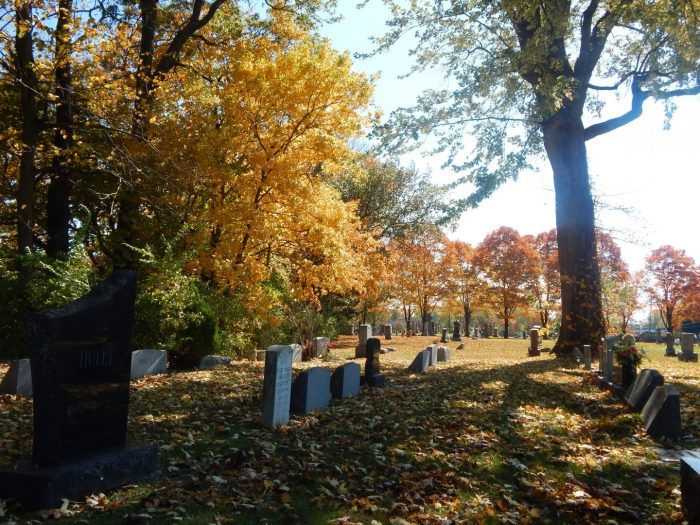 Mifflin Cemetery - Mifflin Township