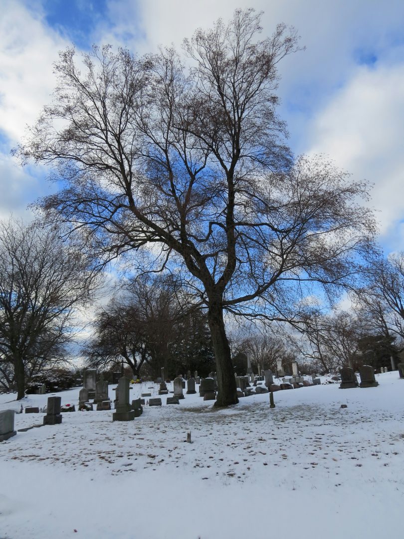 tony-rodriguez-Q3C_pyoX0EA-unsplash